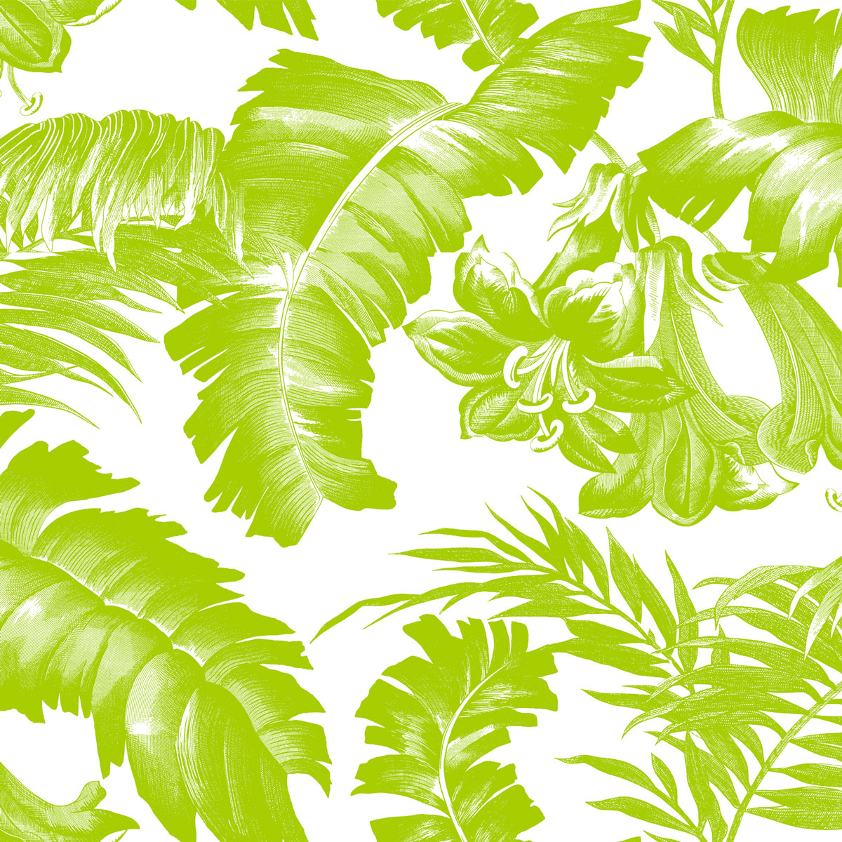 PLANTATION VERDE WP