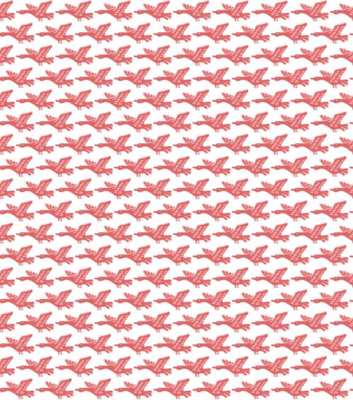 LUANCO ROJO WP