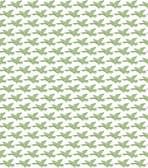 LUANCO VERDE WP