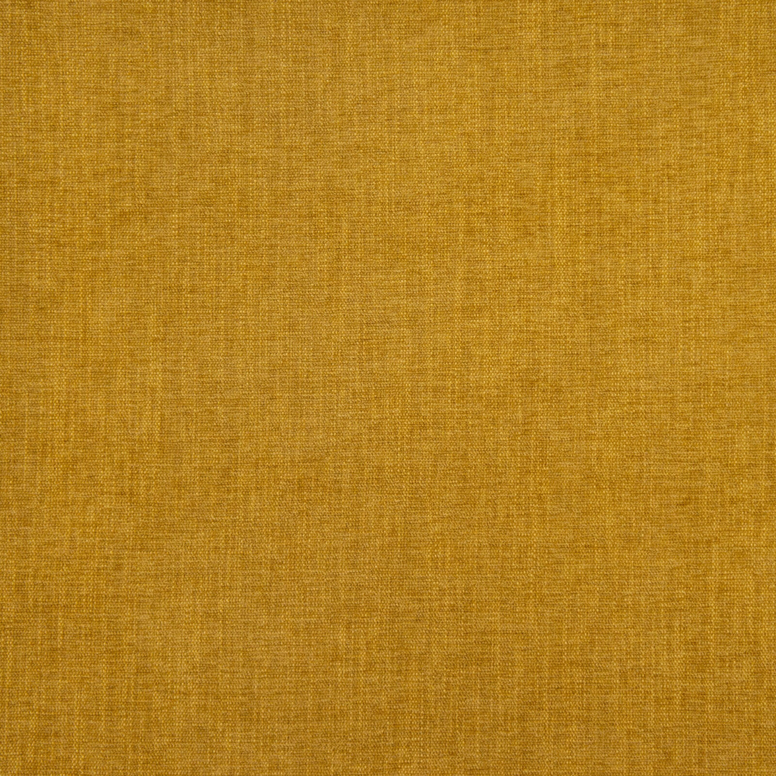 MORO ORO VIEJO