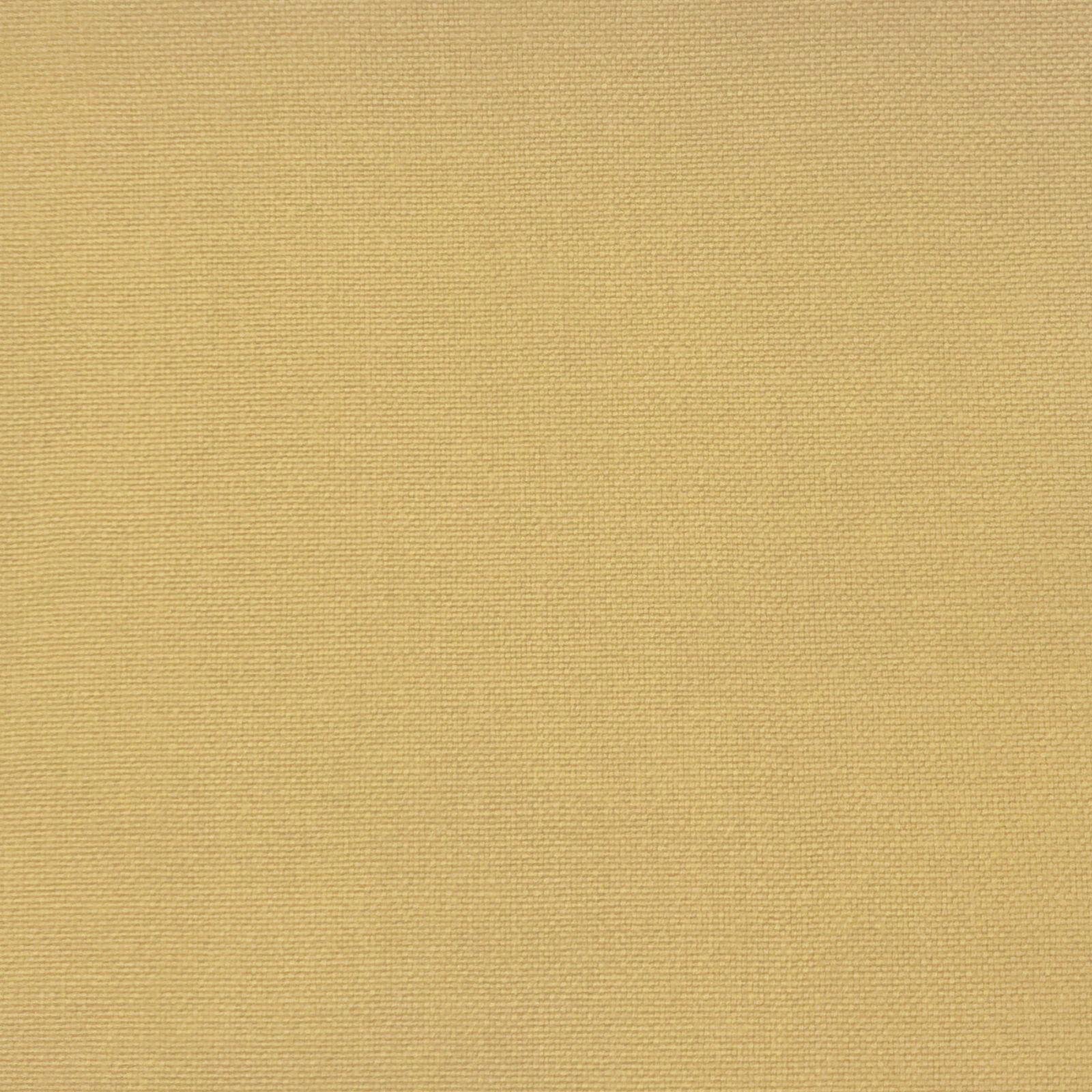 PALMA AMARILLO CLARO