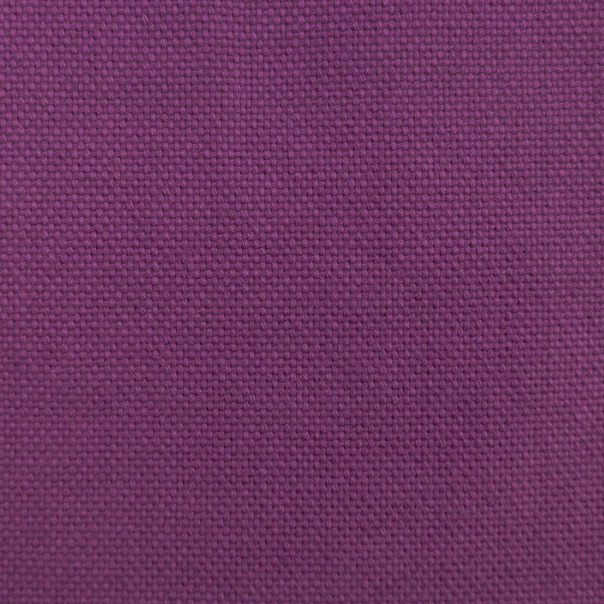 DOBRA MORADO