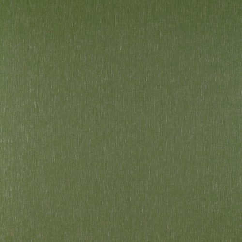 SALINA VERDE