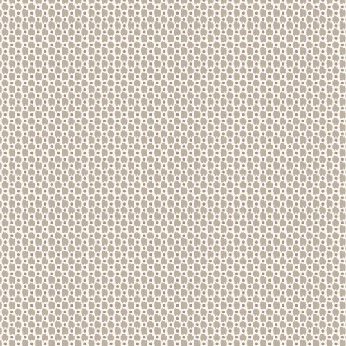 SPOTS TOPO