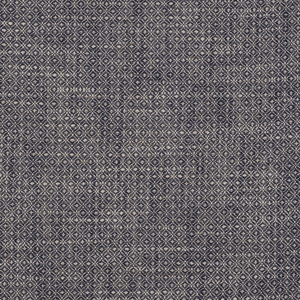 SEMILLA NAVY