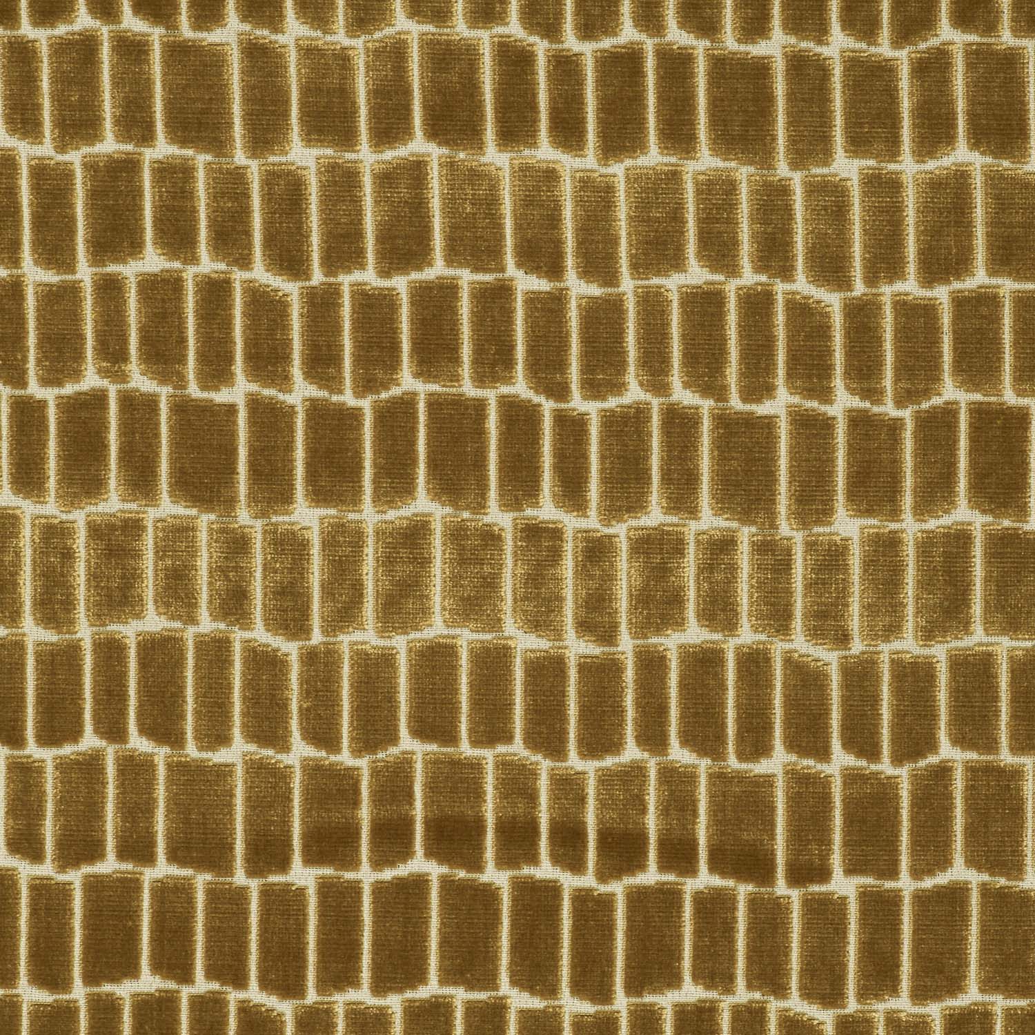MAXIMO ORO