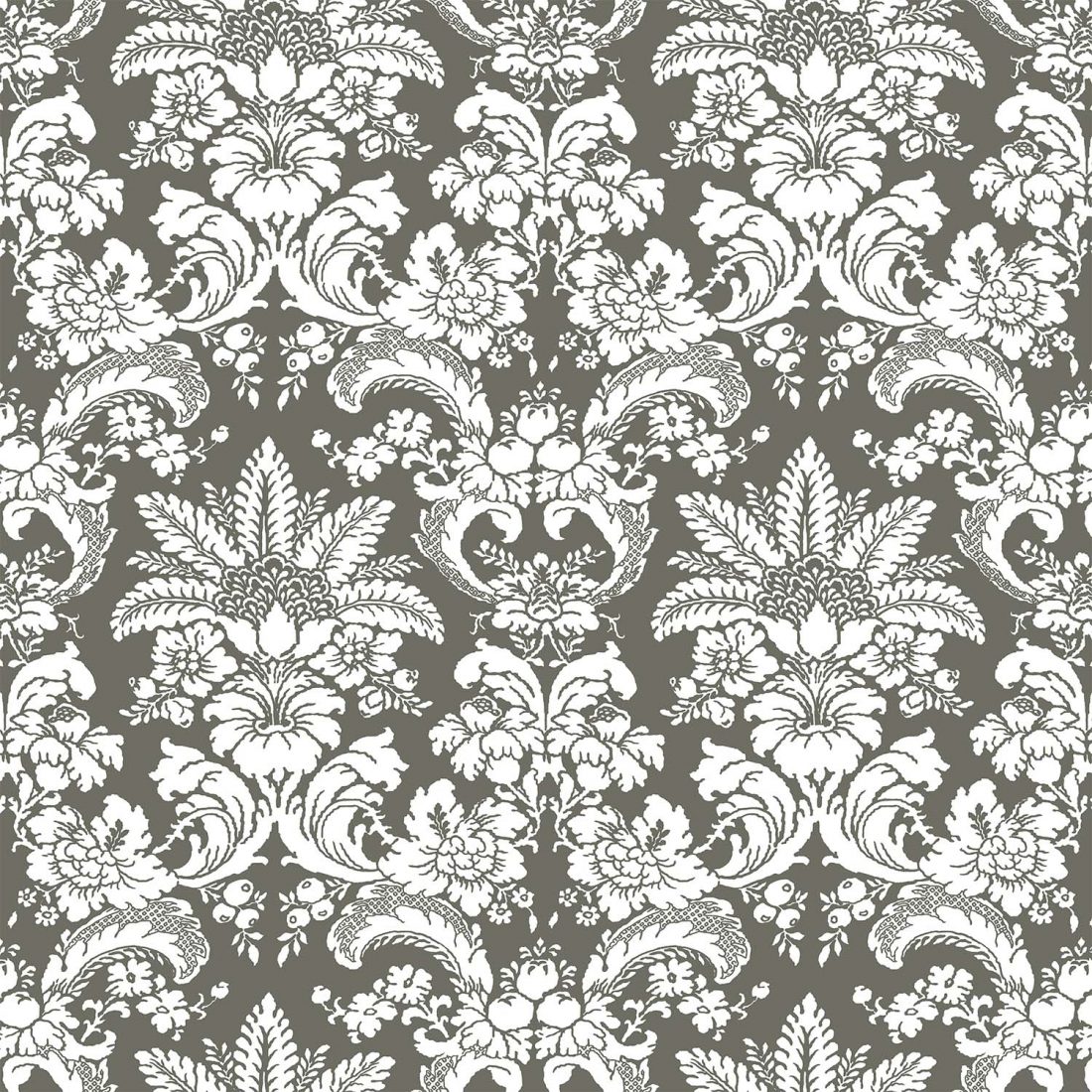GRAJAL GRIS