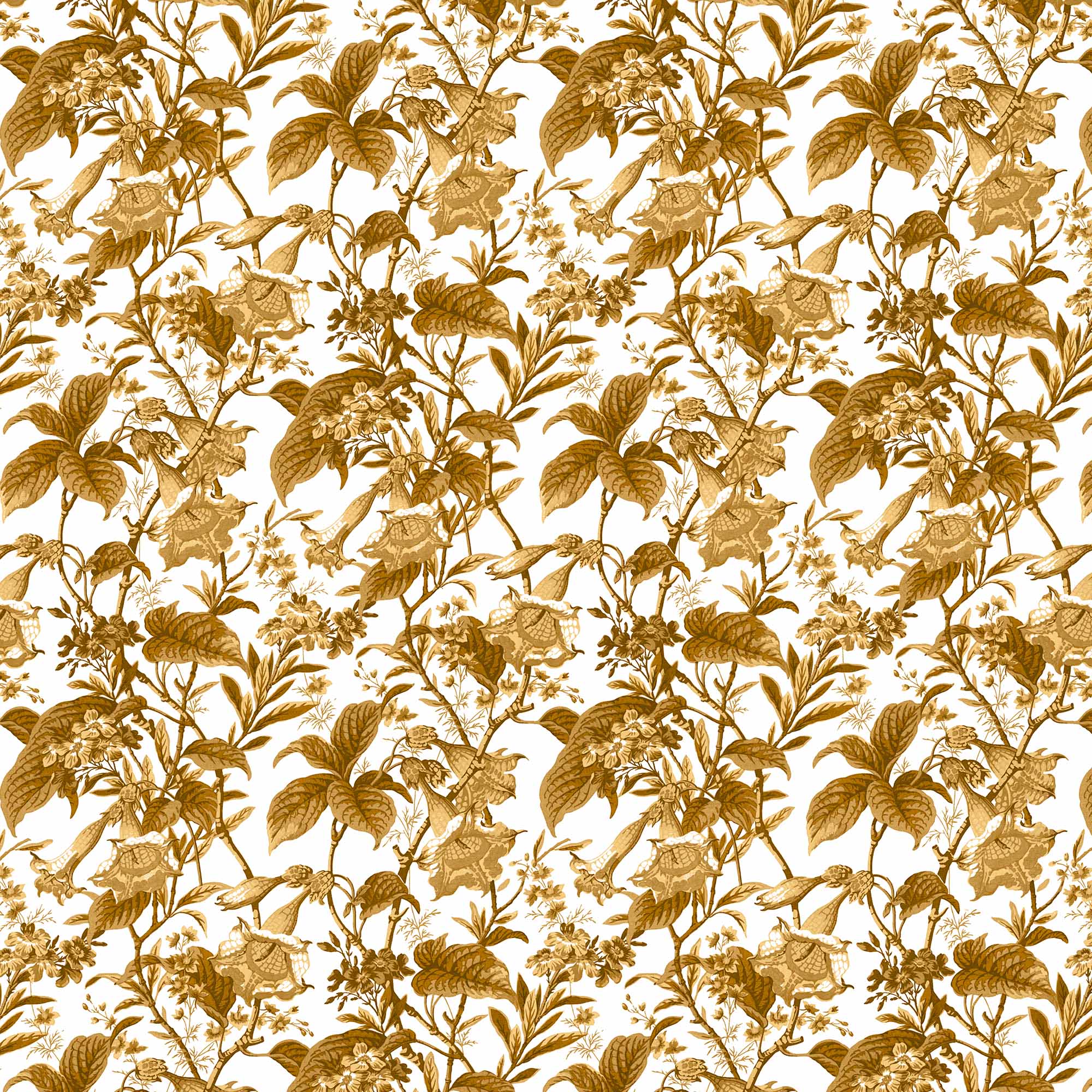 QARUNIYAH OCRE