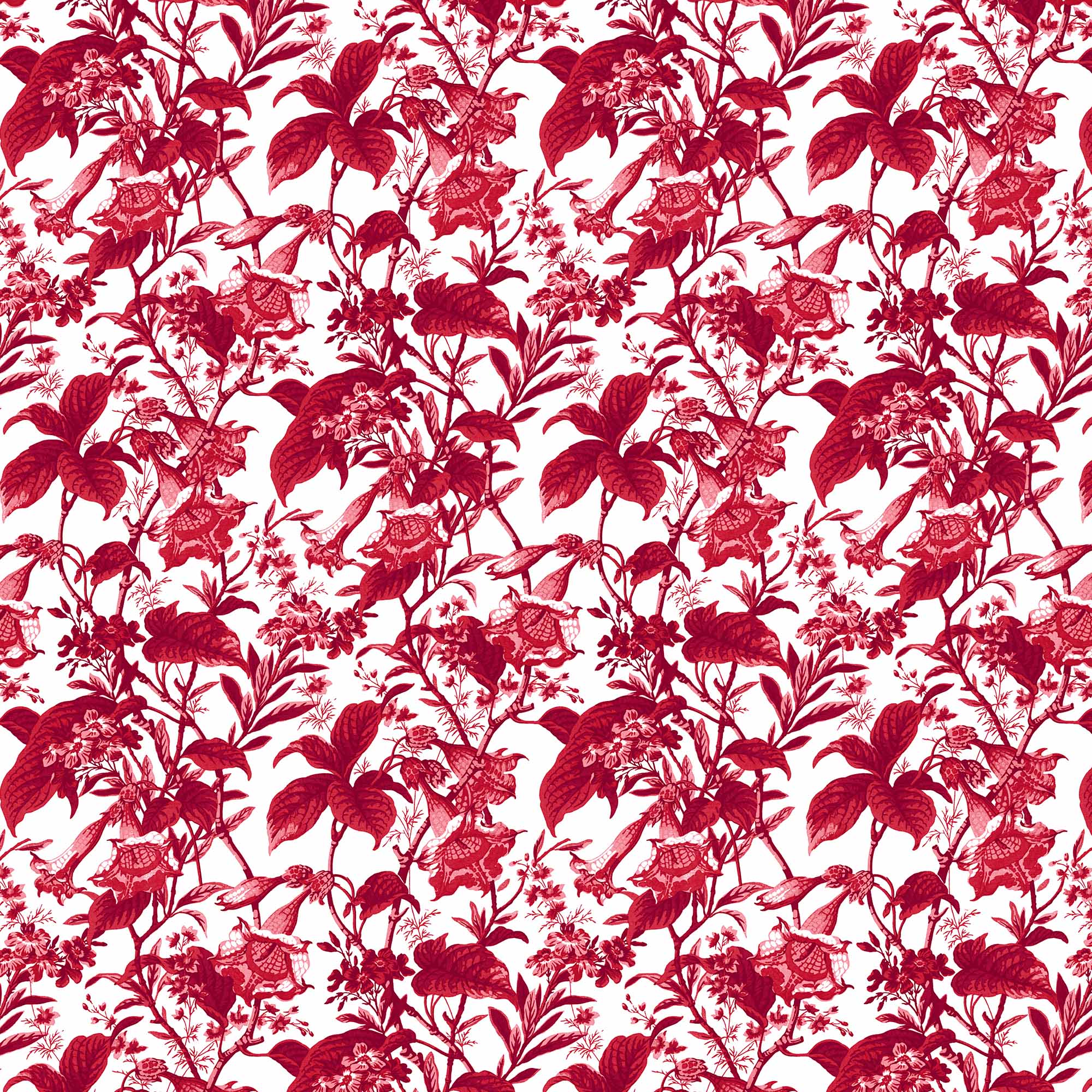 QARUNIYAH ROJO