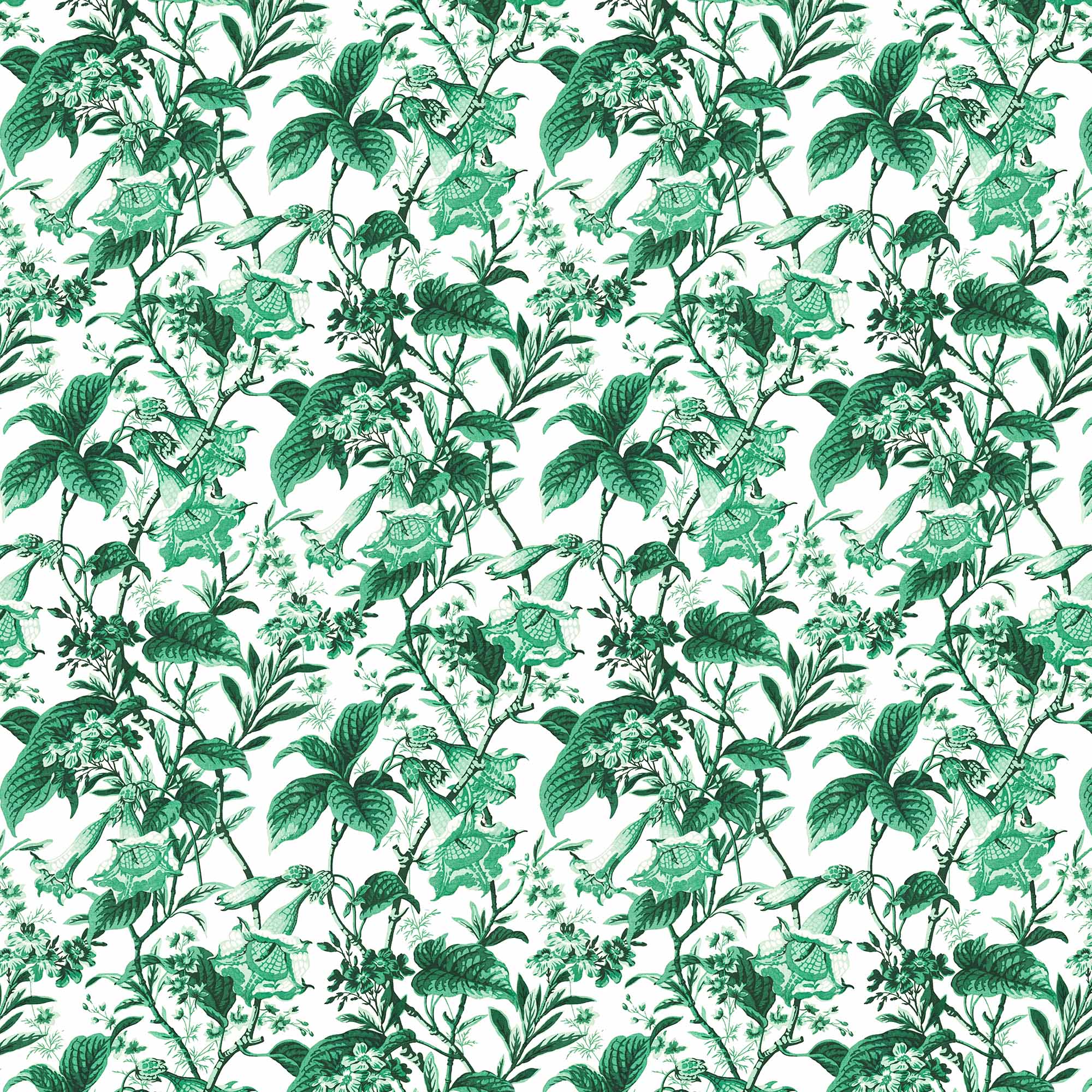 QARUNIYAH VERDE