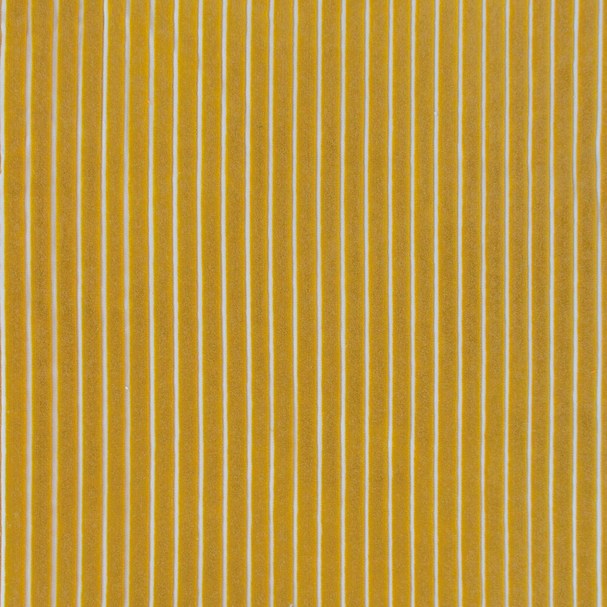 MAYRIT AMARILLO