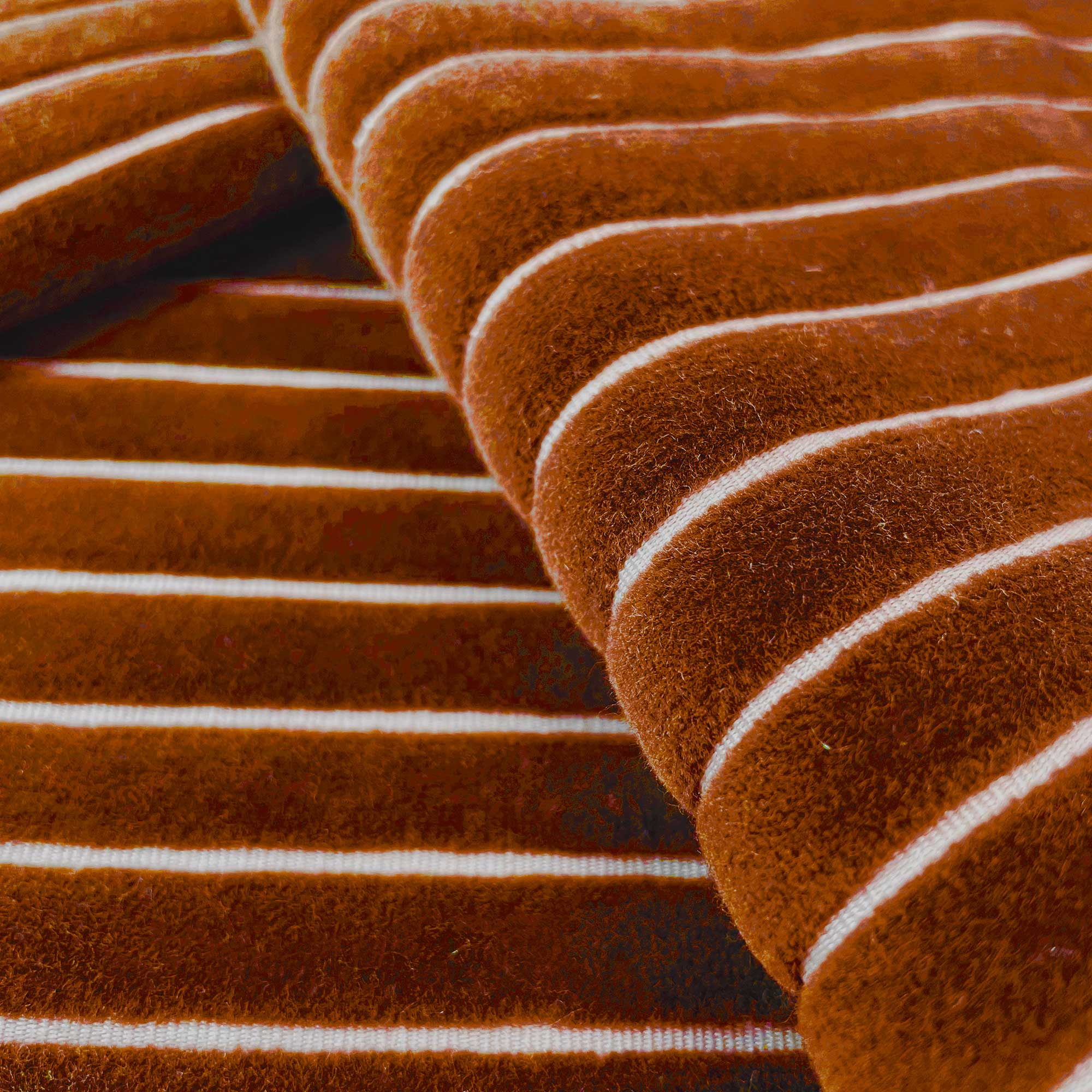 MAYRIT CALABAZA - Image 2