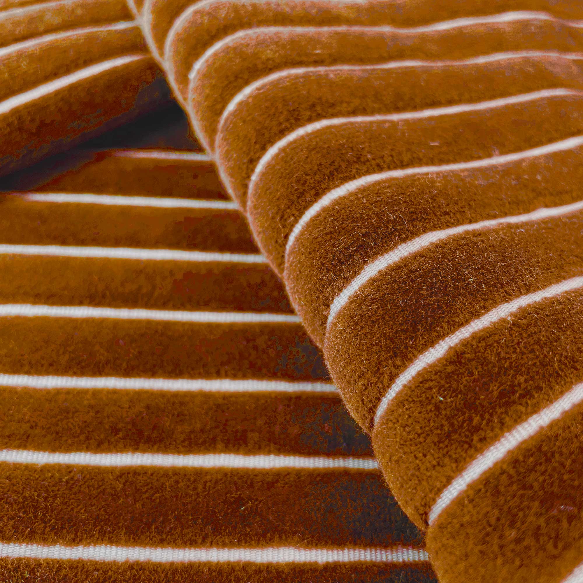 MAYRIT OCRE - Image 2