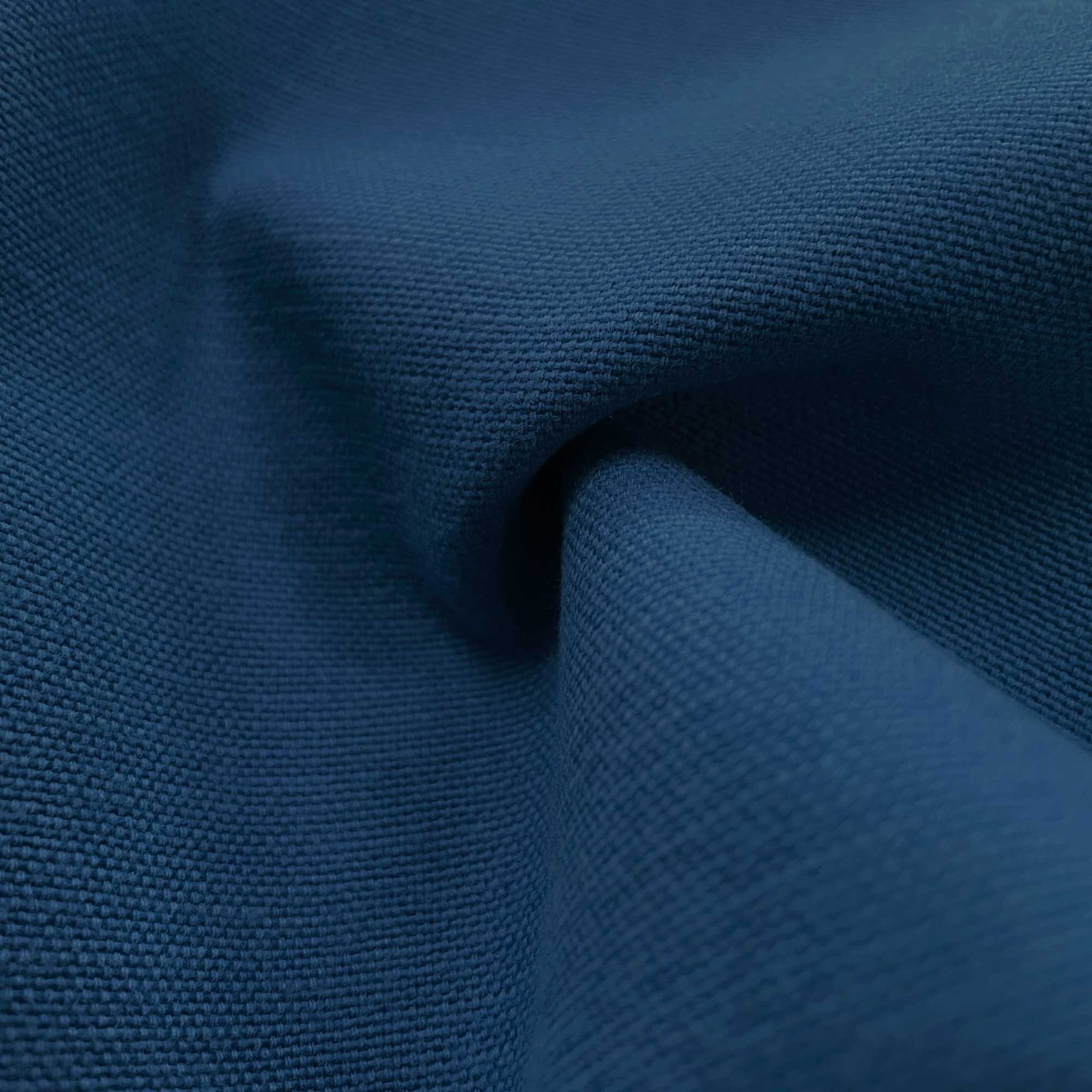 PALMA AZUL ROYAL - Imagen 2