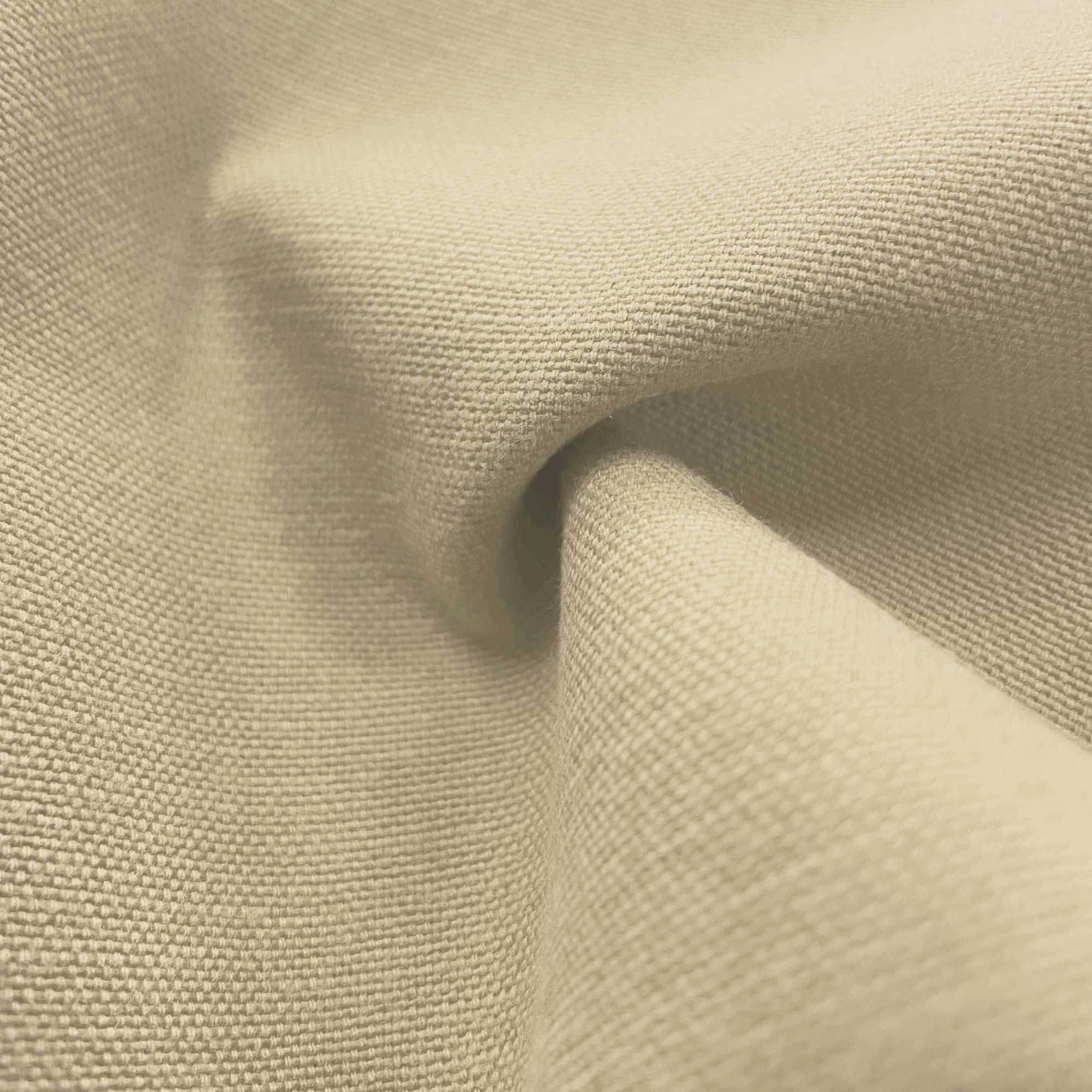 PALMA BEIGE - Imagen 2