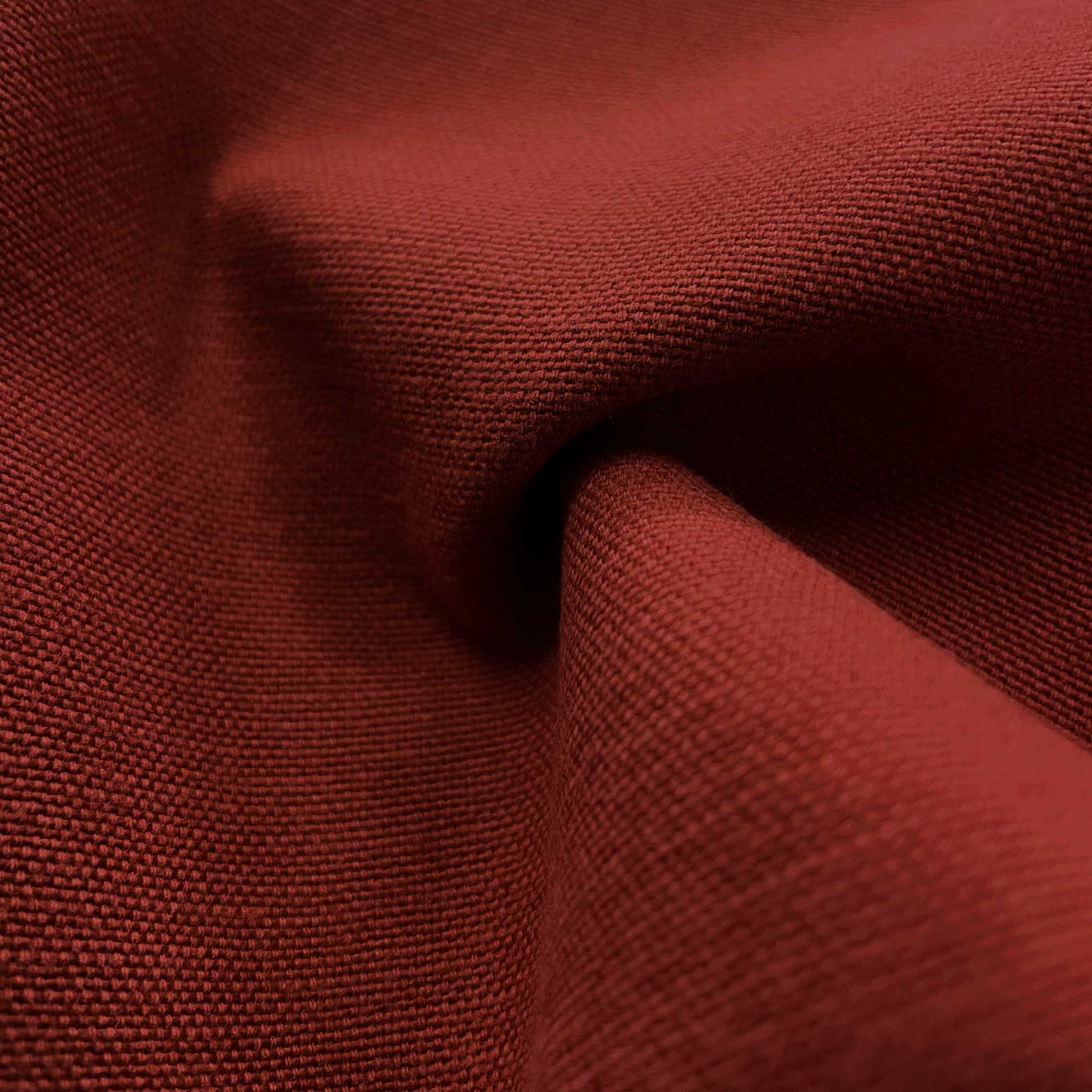 PALMA ROJO - Imagen 2