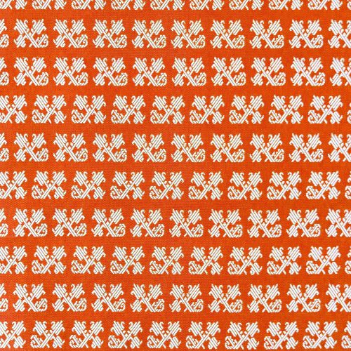 TULIP NARANJA