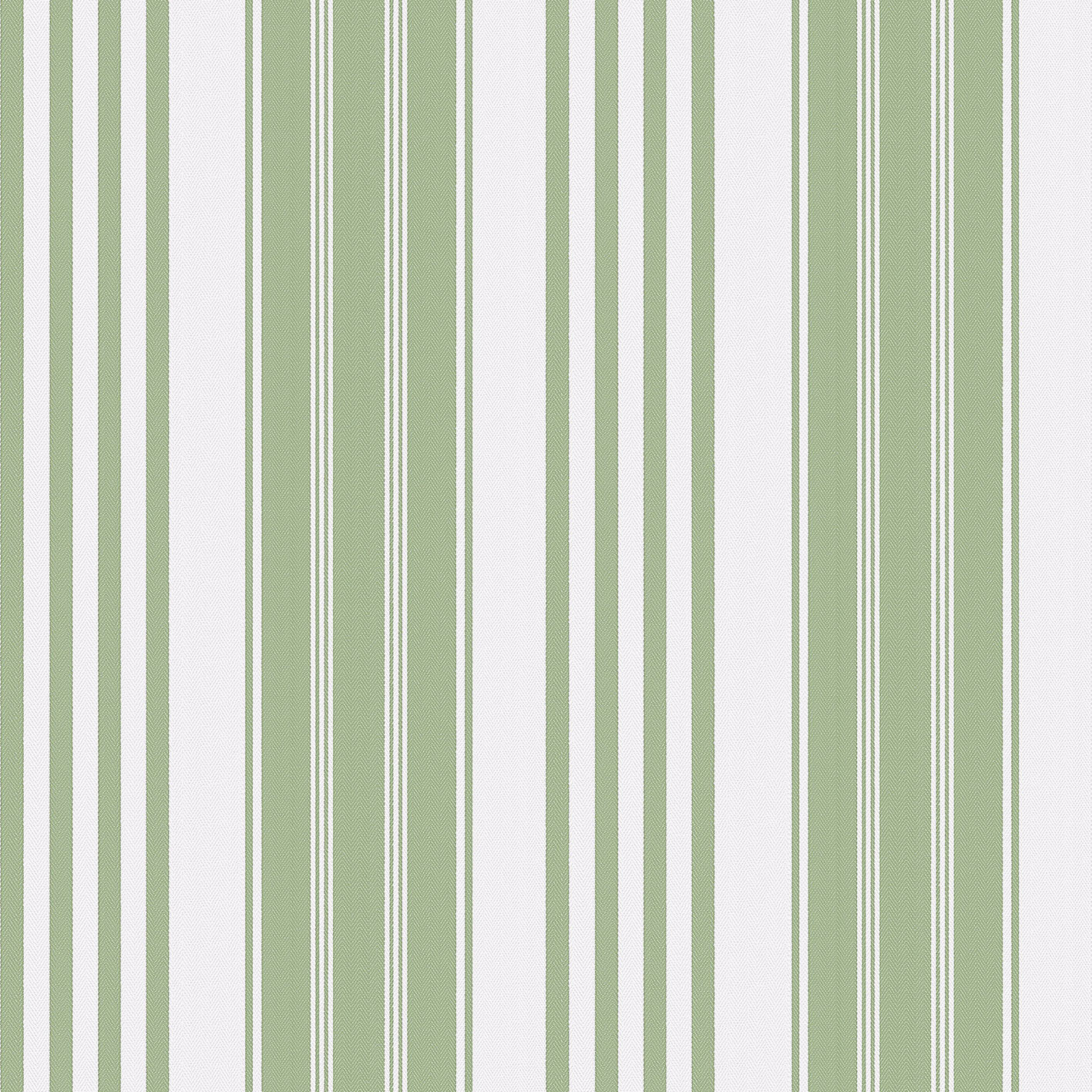 VEGA VERDE