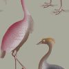GDW-5773-001 Garzas gris papel pintado gastón y daniela animales fauna decoración casa