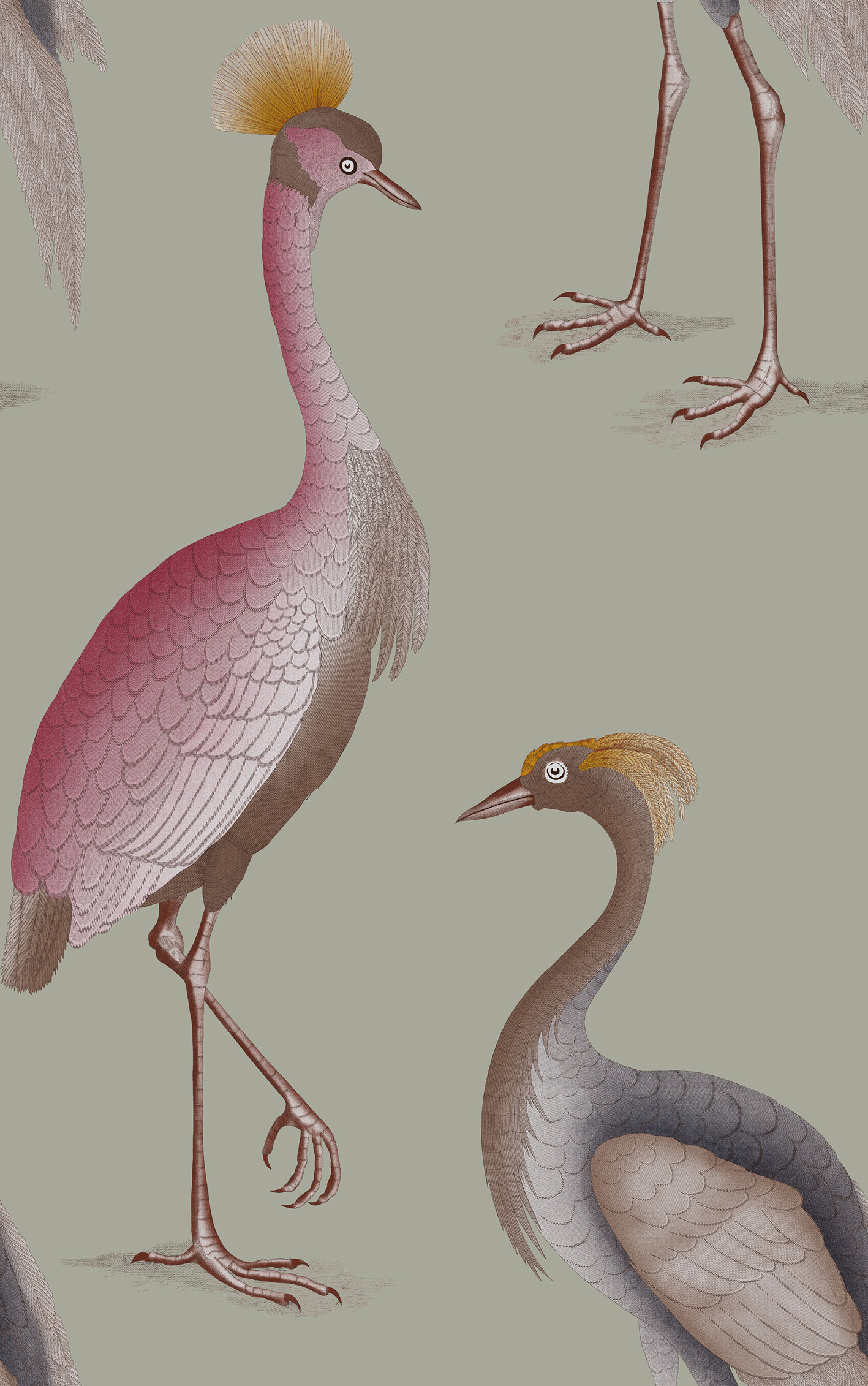 GDW-5773-001 Garzas gris papel pintado gastón y daniela animales fauna decoración casa