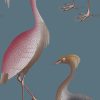 GDW-5773-002 Garzas azul oscuro papel pintado gastón y daniela animales fauna decoración casa