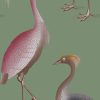 GDW-5773-003 Garzas verde agua azul papel pintado gastón y daniela animales fauna decoración casa