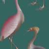 GDW-5773-005 Garzas océano verde azul amarillo papel pintado gastón y daniela animales fauna decoración casa