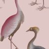 GDW-5773-006 Garzas rosa papel pintado gastón y daniela animales fauna decoración casa