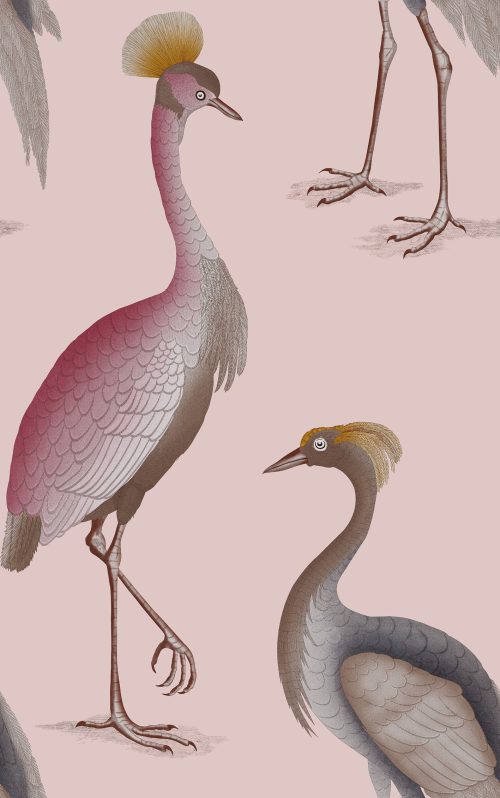 GDW-5773-006 Garzas rosa papel pintado gastón y daniela animales fauna decoración casa 