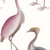 GDW-5773-007 Garzas blanco papel pintado gastón y daniela animales fauna decoración casa