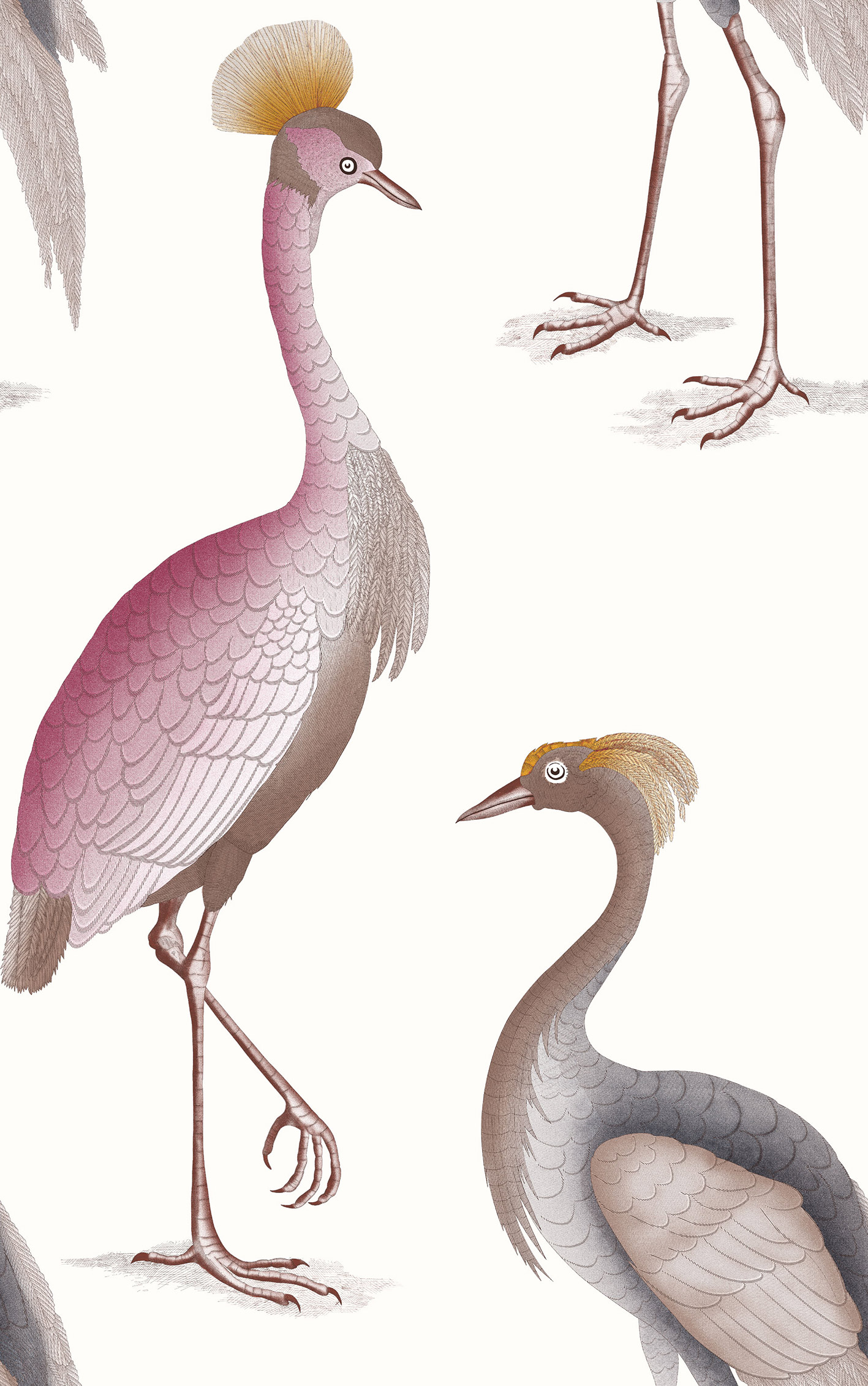 GDW-5773-007 Garzas blanco papel pintado gastón y daniela animales fauna decoración casa