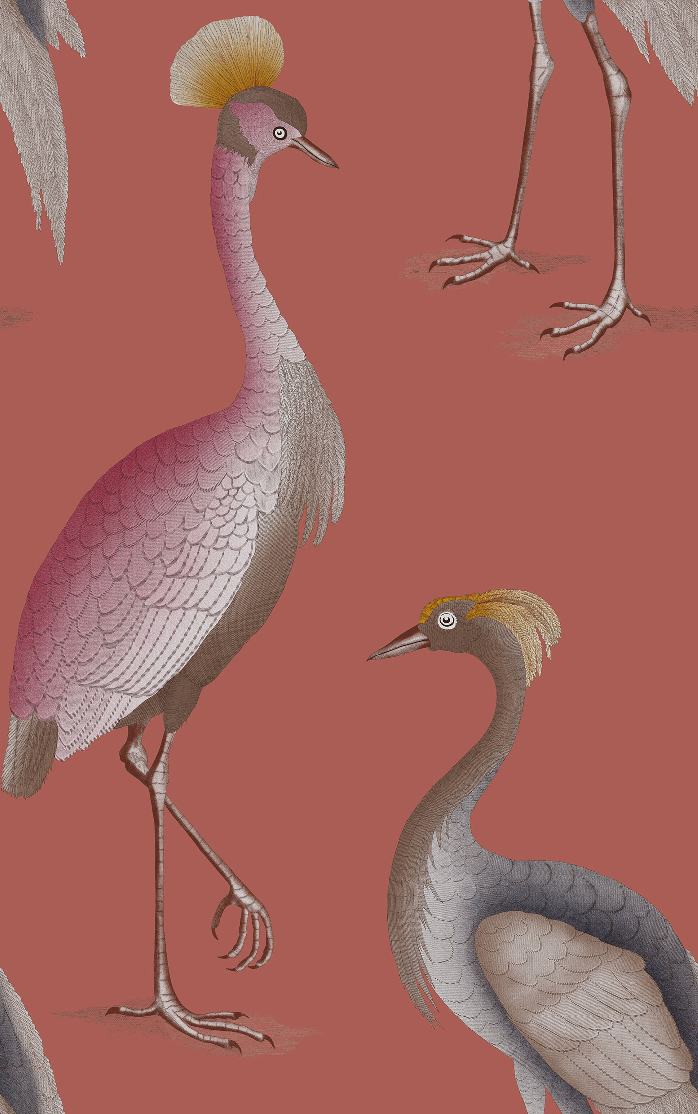 GDW-5773-008 Garzas frambuesa rosa papel pintado gastón y daniela animales fauna decoración casa