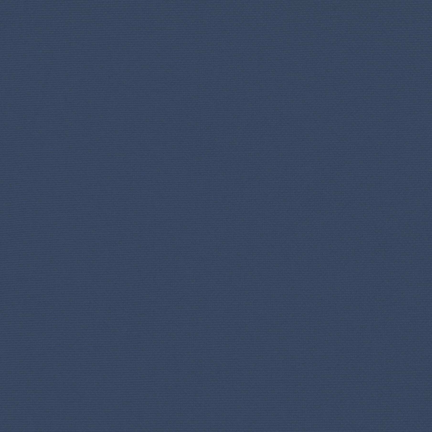 PALMA AZUL ROYAL