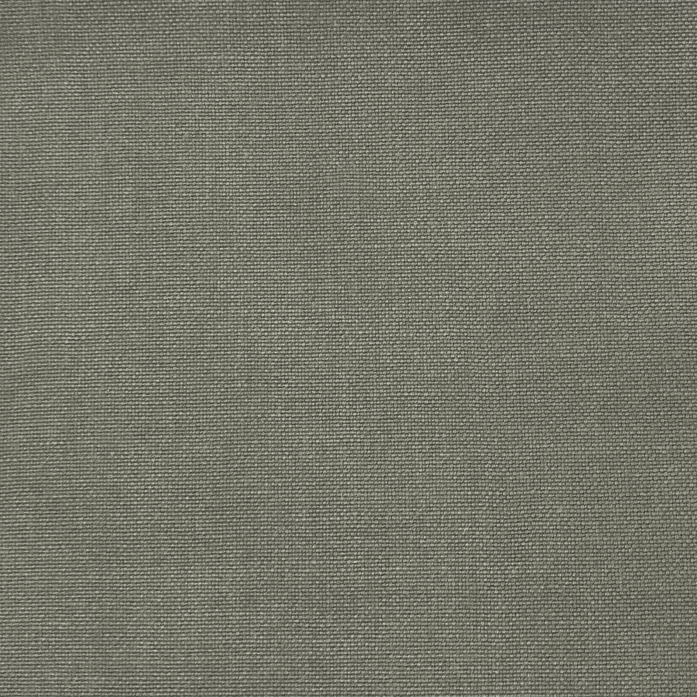 PALMA GRIS