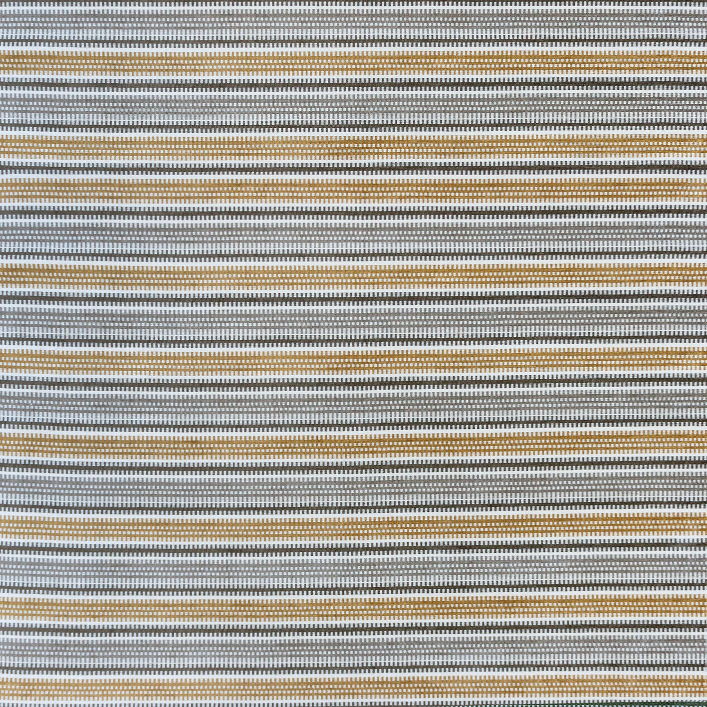 ASSOS TOPO/BEIGE