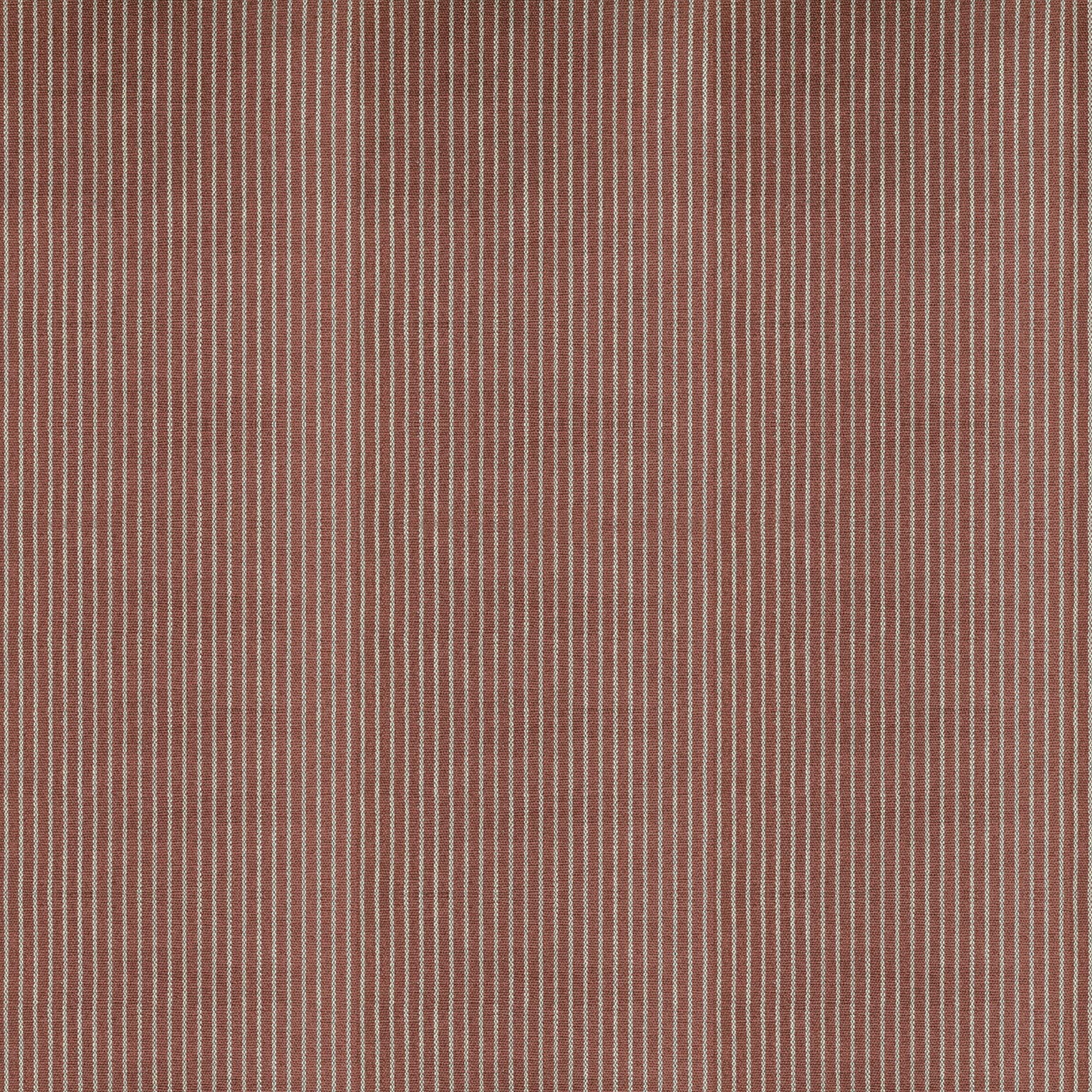 EGEO ROSA