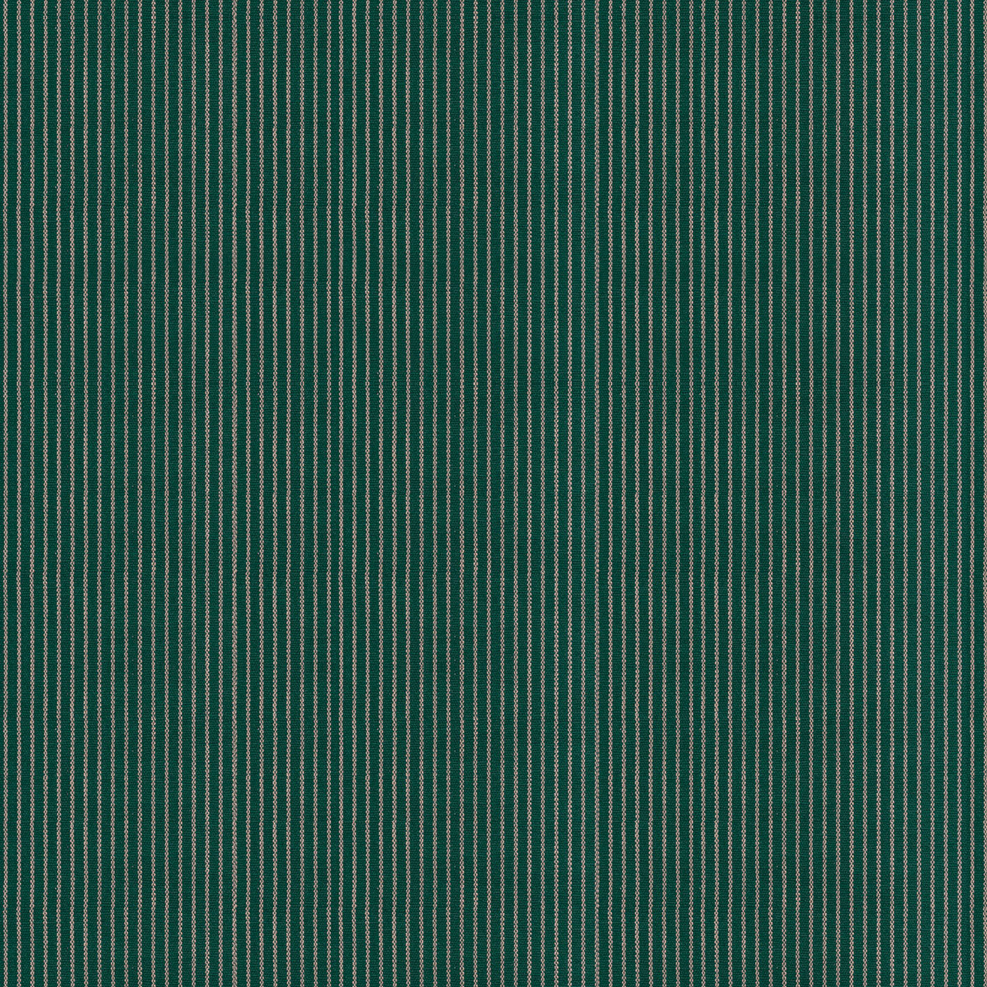 EGEO VERDE BOTELLA