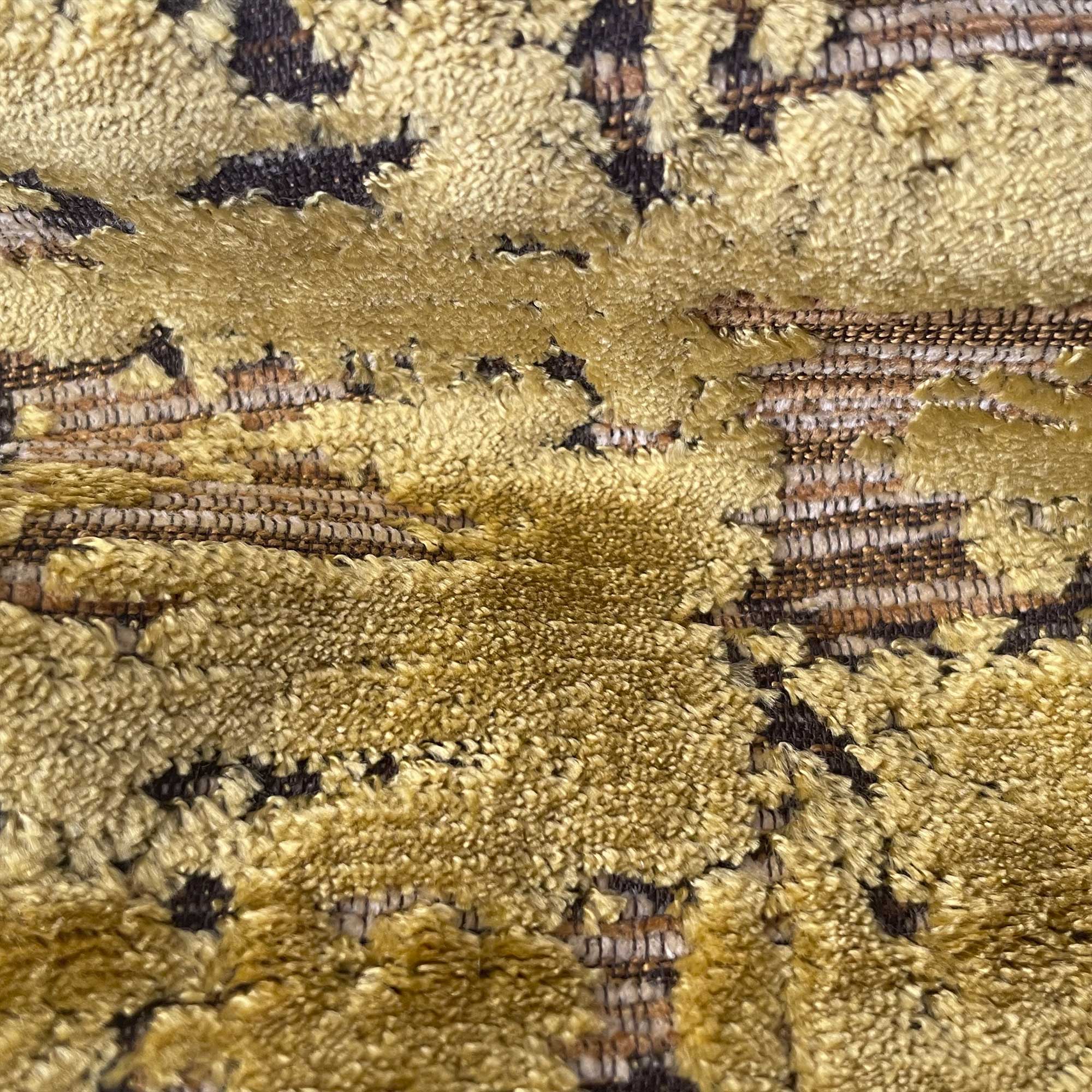 AUSTIN AMARILLO - Image 2