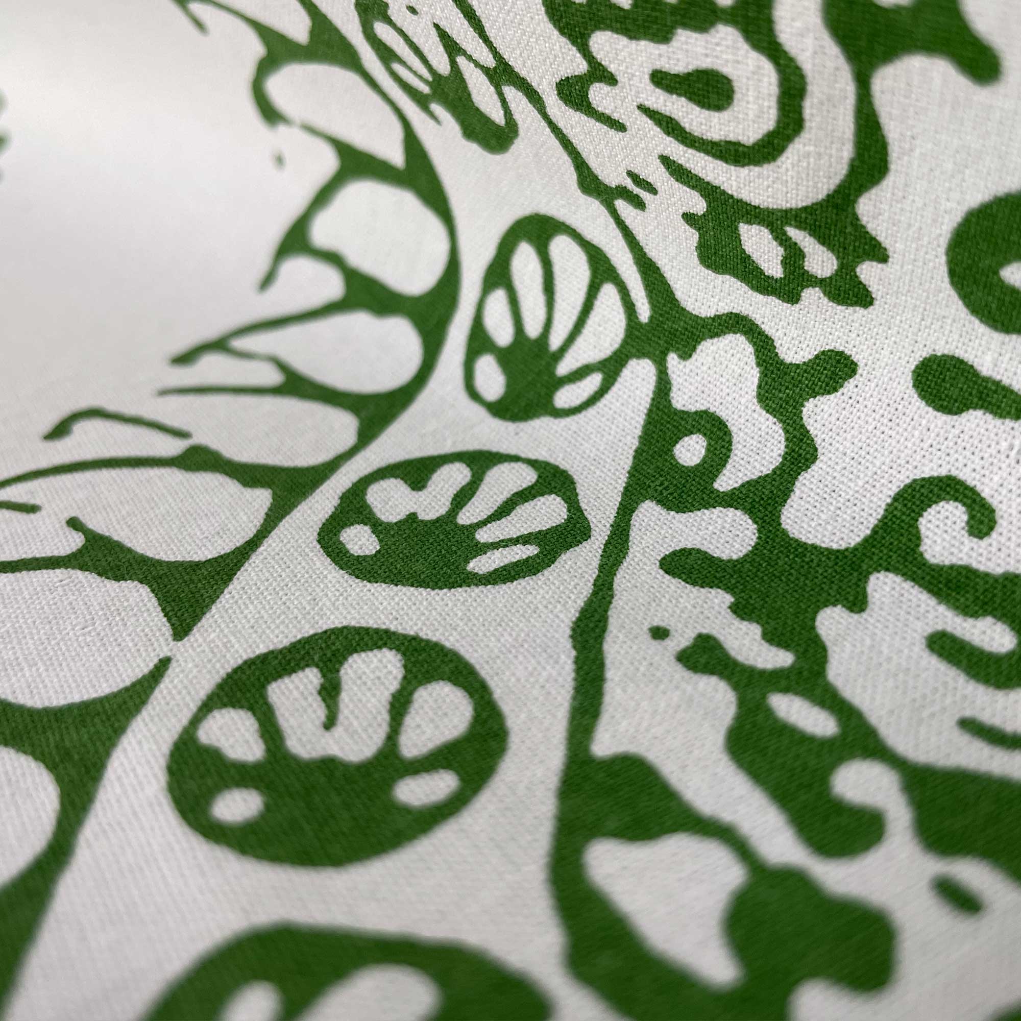 BERENGUELA VERDE - Image 2