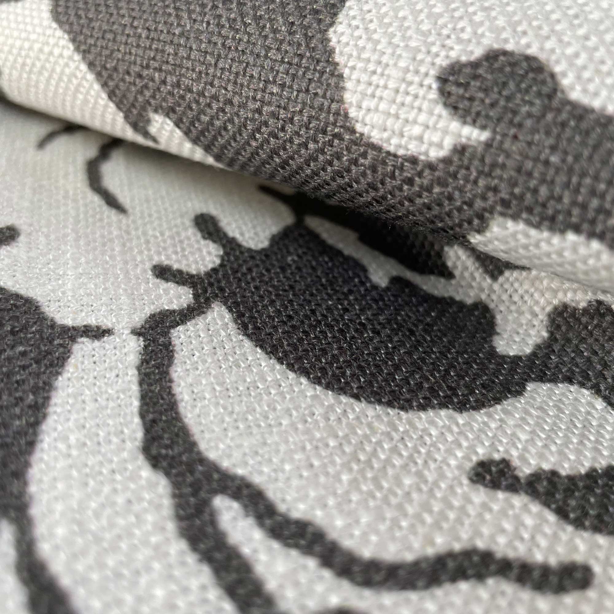 GRAJAL GRIS - Imagen 2
