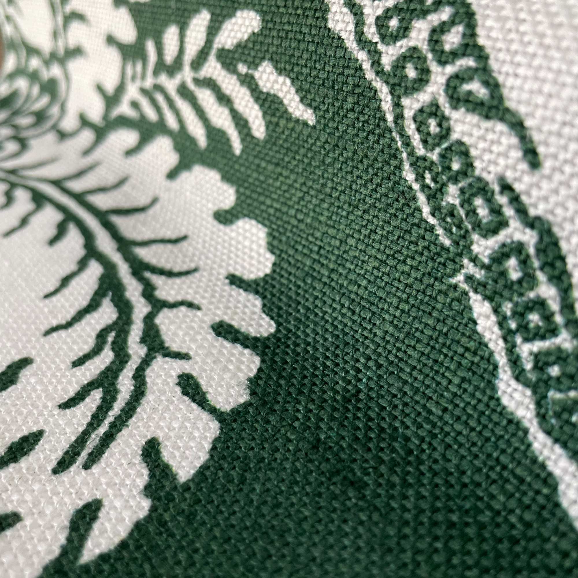 GRAJAL VERDE - Imagen 2