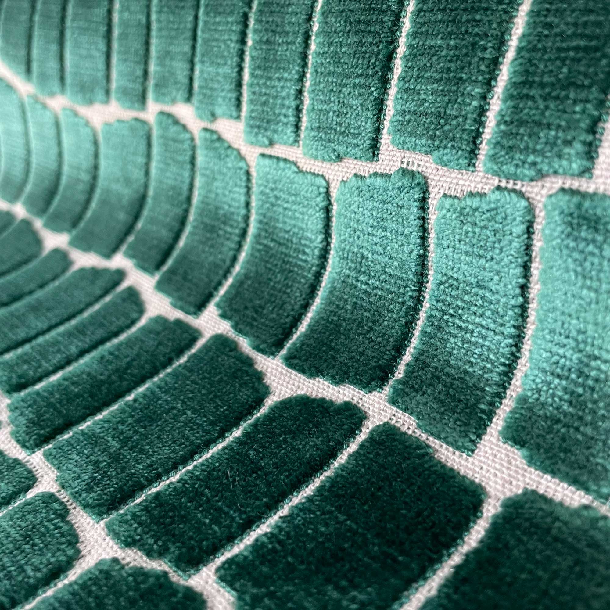 MAXIMO VERDE - Image 2