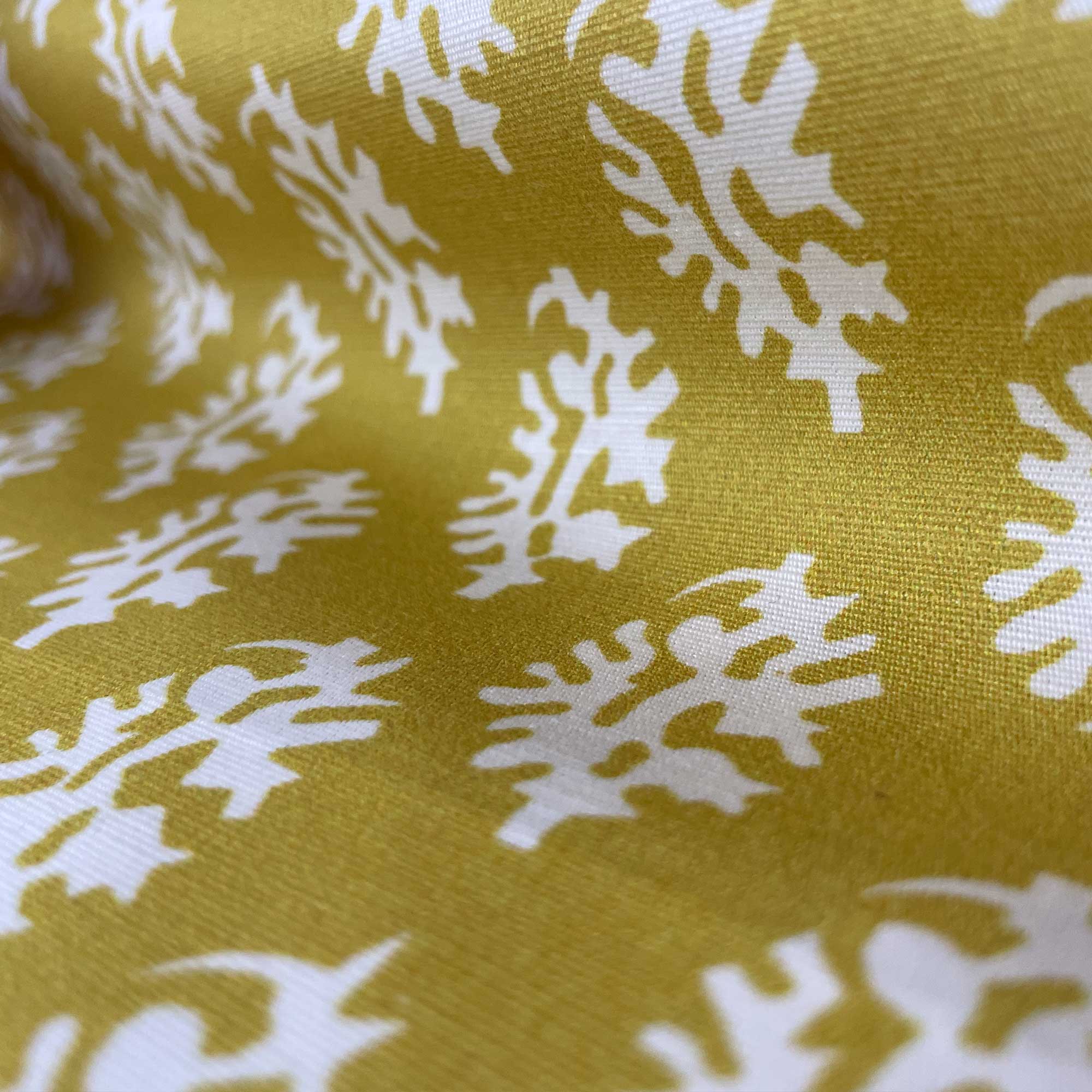 SEIJO AMARILLO - Image 2