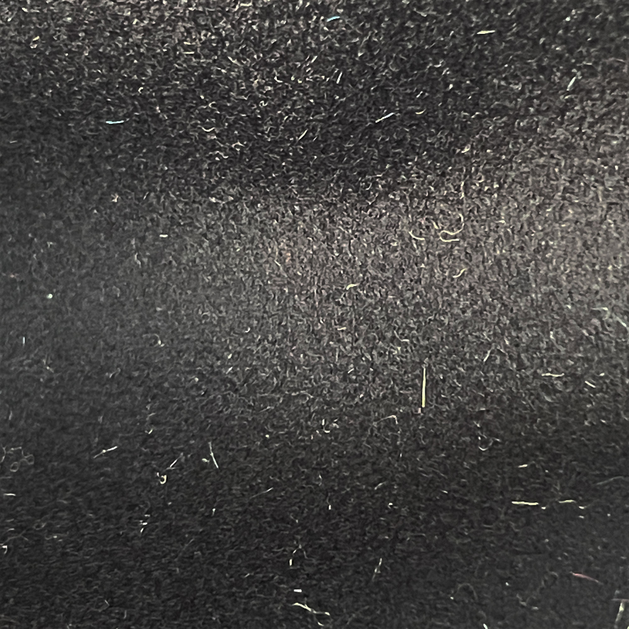 DENVER NEGRO - Imagen 2