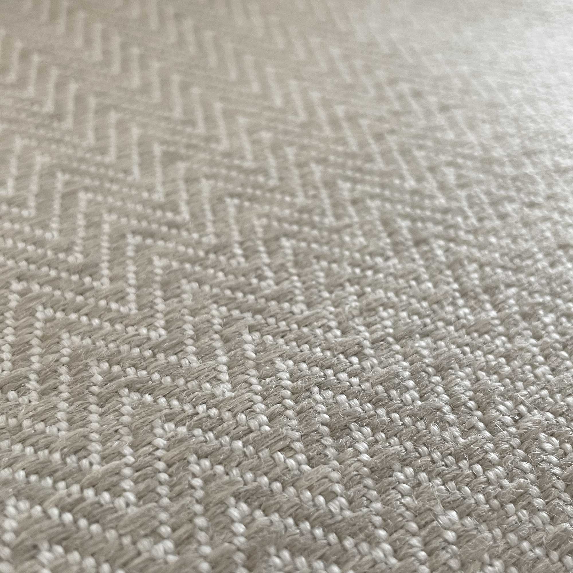 DONALD BEIGE - Image 2