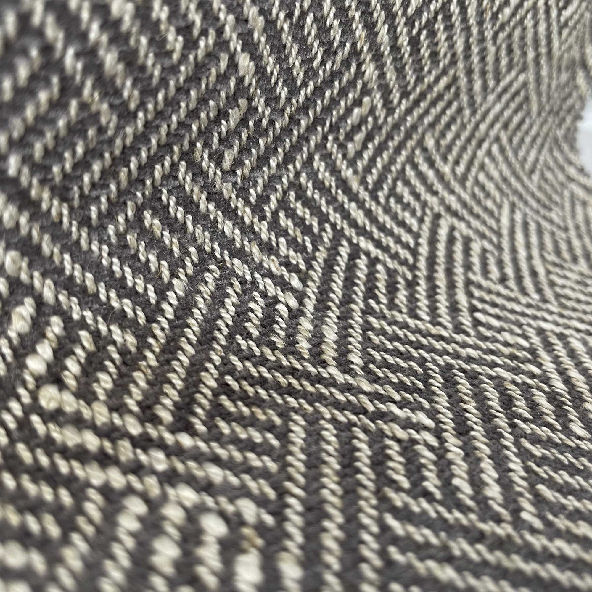 ENEA GRIS - Imagen 2