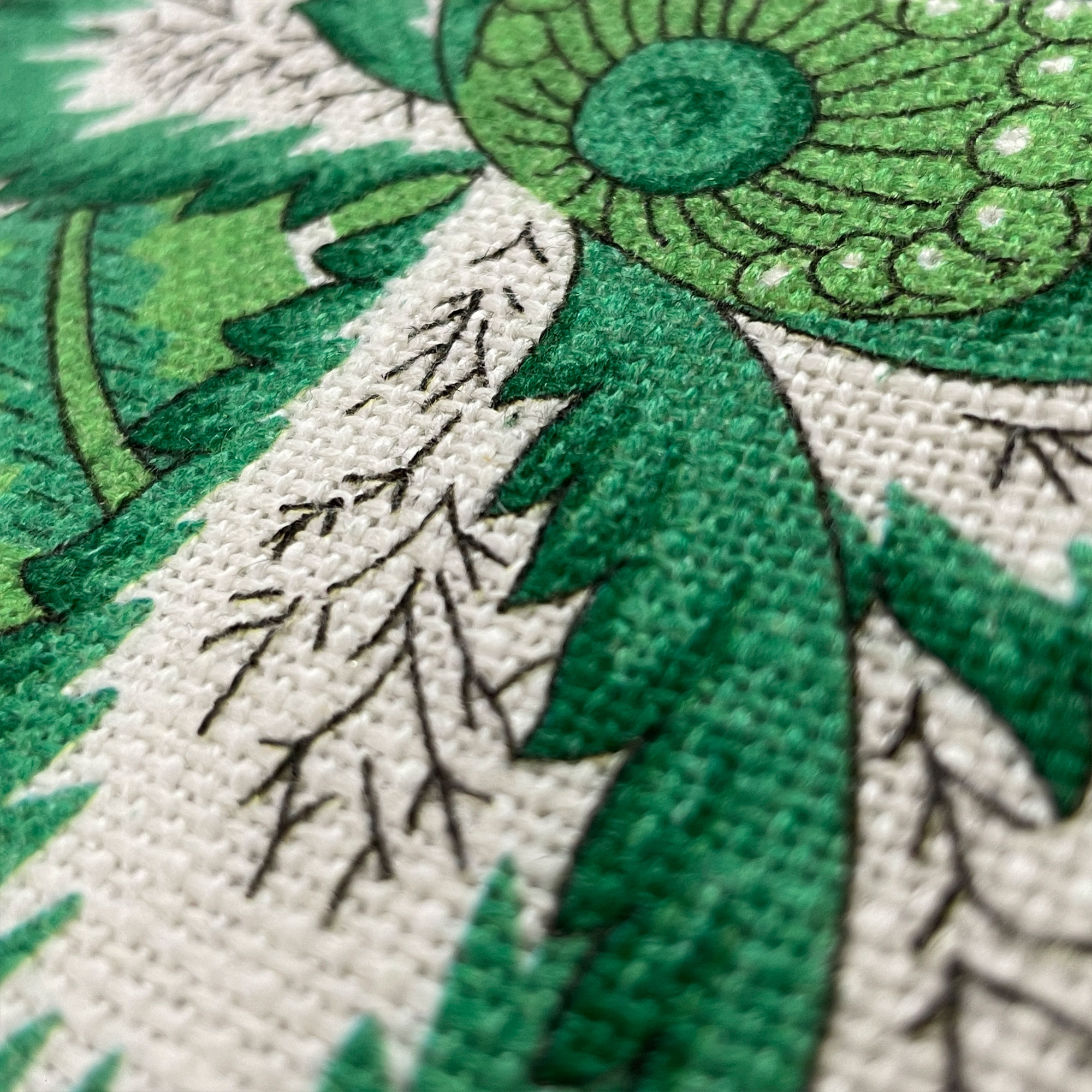 LAIDI VERDE - Image 2