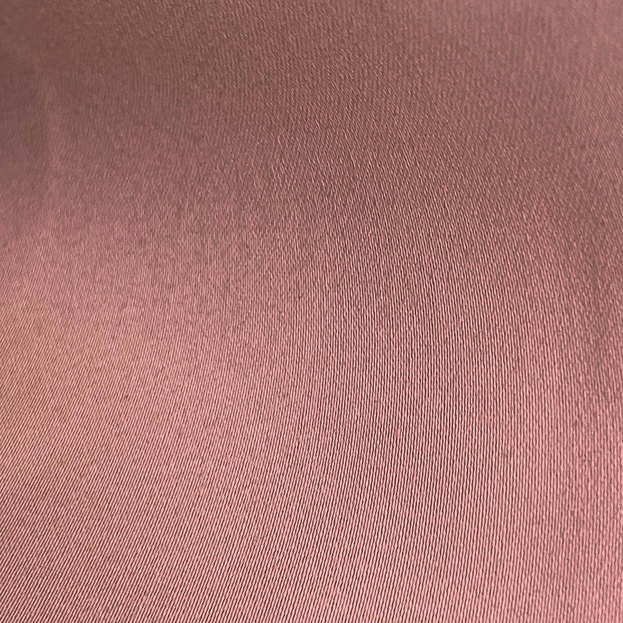 MANZANARES ROSA - Image 2