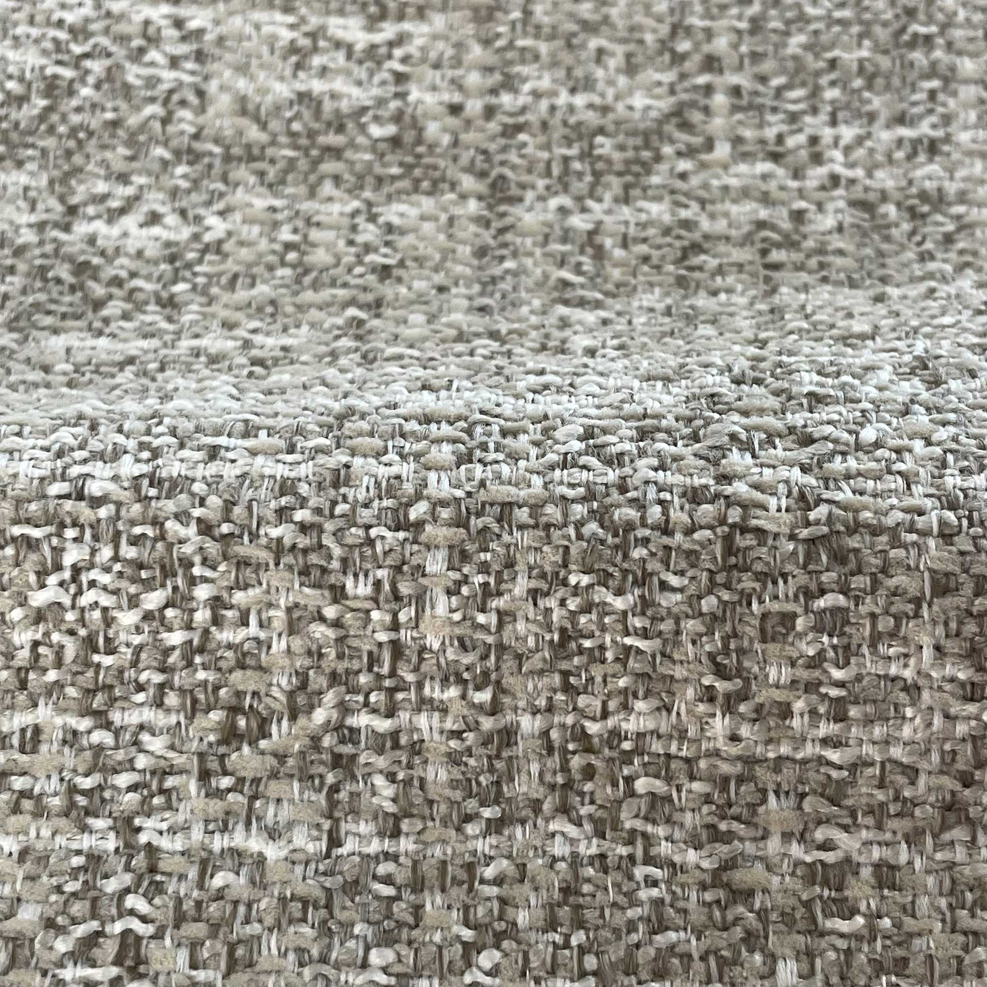 OLMO LINO - Imagen 2