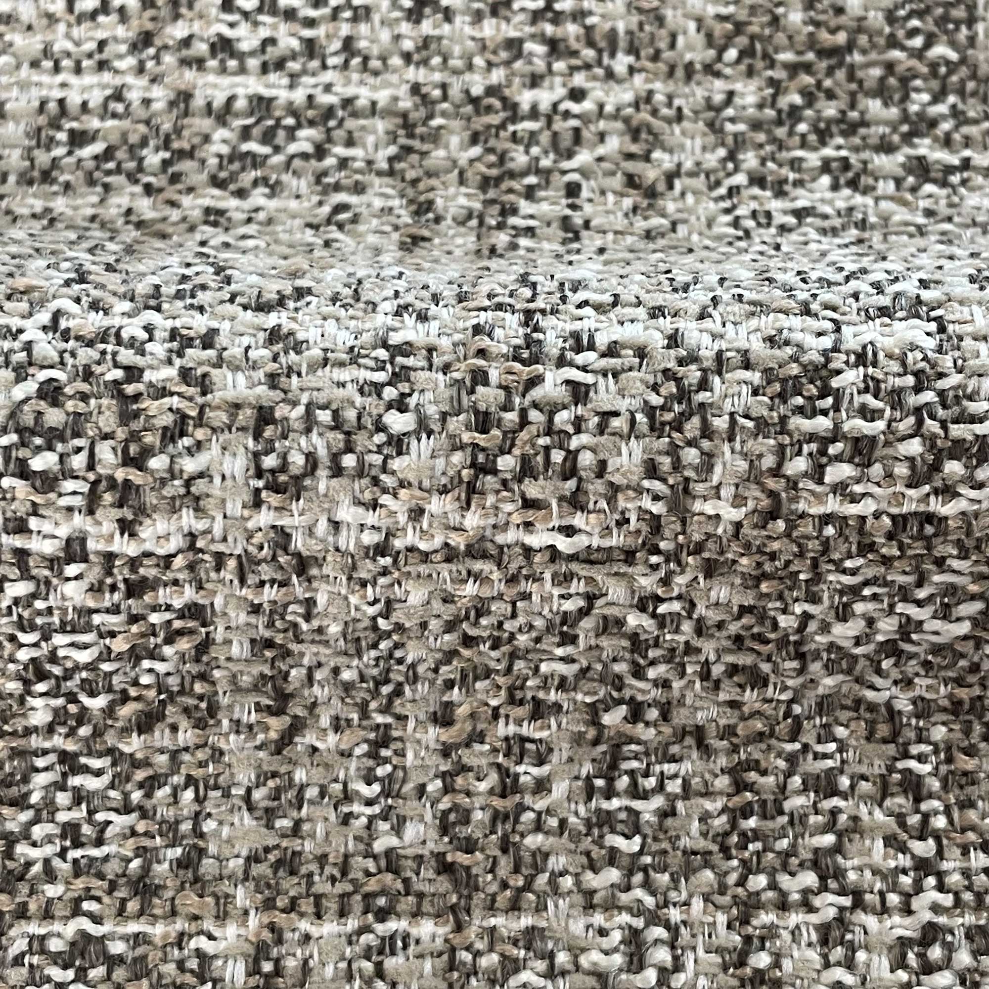 OLMO TOSTADO - Image 2